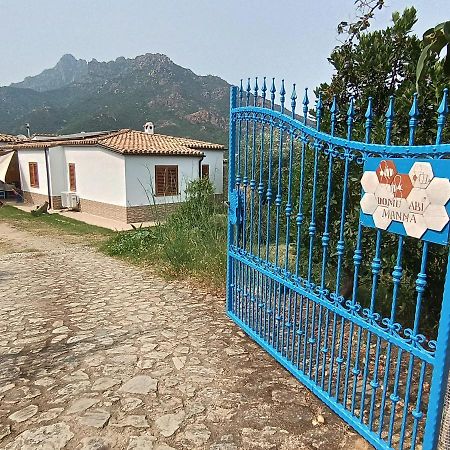 Domu Abi Manna Tertenìa Exterior foto
