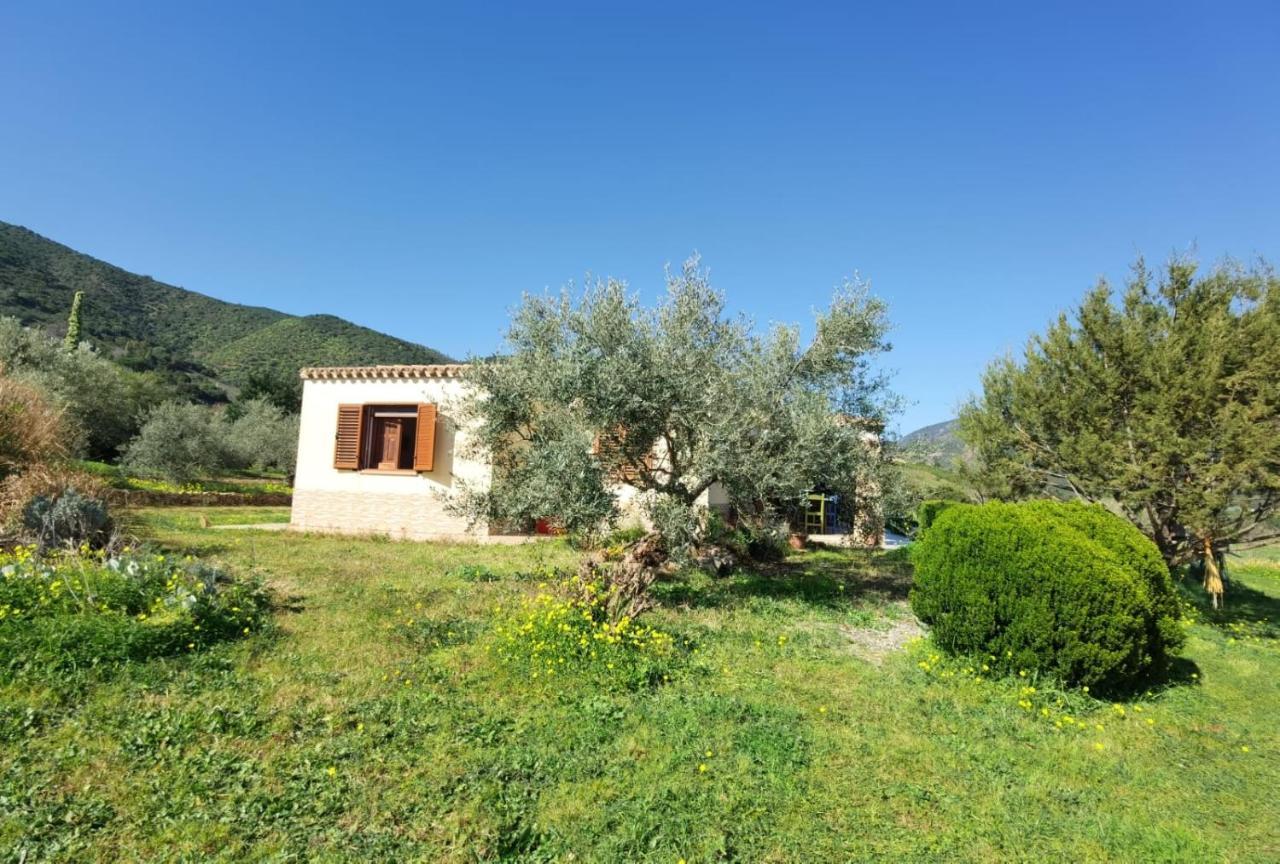 Domu Abi Manna Tertenìa Exterior foto